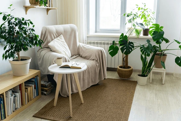 Pehmeästi valaistu lukunurkkaus, viltti ja kuppi rauhallista iltaa varten